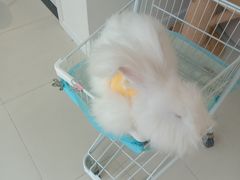 -怪兽屋·羊驼·猫咖·狗咖(俊华广场店)