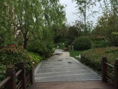 -上海崇明金茂凯悦酒店