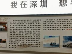 -圳兴面王·拌川·特色炒面(南山保利剧院店)