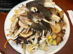 -菌之家·专业纯野生菌火锅·特色炒菌