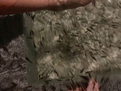 -明谷行馆·温泉