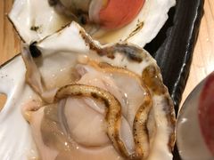 -ジャンボ釣船 つり吉(新世界店)