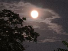 -吴裕泰茶庄(鼓楼店)