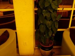 -乐享养生(东湖店)