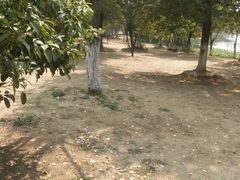 -艾溪湖湿地公园