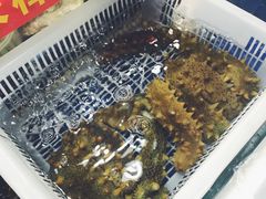 -江杨农产品批发市场