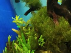 -多彩贵州城极地海洋世界