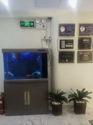 -海涛医疗美容·面部抗衰·注射美鼻