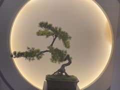 -席仁堂推拿按摩脊柱调理(世纪科贸大厦店)