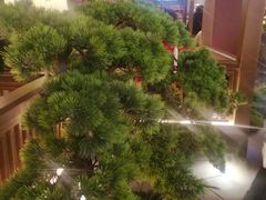 -弄堂里(西溪龙湖天街店)