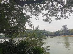-惠州泗洲塔