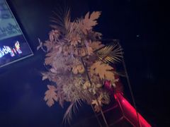 -黑桃K生日订制KTV