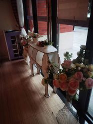 -SILKTONE诗丽堂美容