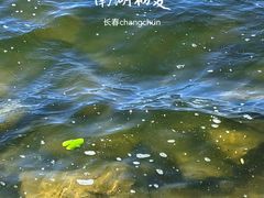 -长春市南湖公园