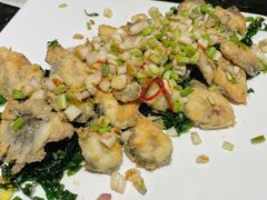 葱烧白鳝-新兴·金羊座·粤菜点心(乐峰店)