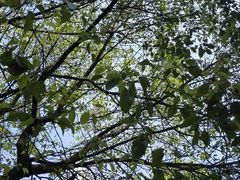 android_upload_pic-上海棕榈滩海景酒店