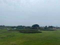 -空港花田景区