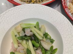 -靓蛙馆