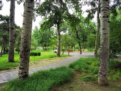 -元大都城垣遗址公园