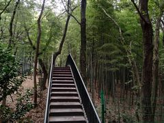 -宝岩生态观光园