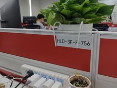 -曼格纳·曼芯馆(杨浦店)