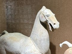 -烟台市博物馆