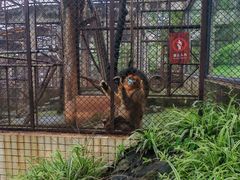 -昆明动物园
