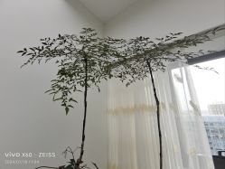 -HEYAN荷妍专业脱毛连锁机构