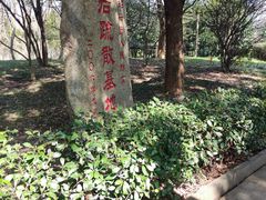 -柯岩风景区