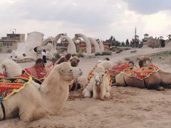 -镇北堡西部影城