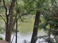 -深圳仙湖植物园