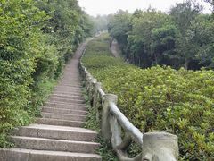 -梧桐山风景名胜区