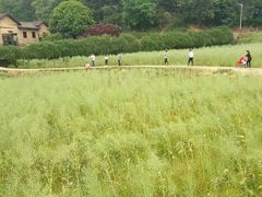 -韶山毛泽东同志故居