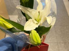 -海底捞火锅(西直门凯德MALL店)