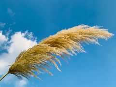 -上海市保健医疗中心