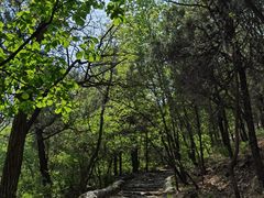 -阳台山自然风景区