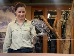 -费瑟代尔野生动物园