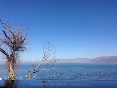 -大理无舍度假酒店