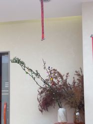 -和良形象