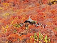 -周口店坡峰岭风景区