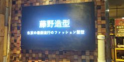 点击看大图 -藤野造型