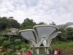 -云溪植物园