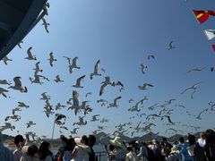 -海驴岛(荣成市)