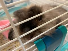 -上海潜殿潜水中心