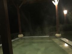 -天目湖涵田半山温泉