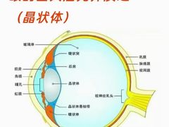 -星视野儿童近视弱视视力训练中心(富荟店)