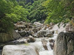 -青峰峡国家森林公园