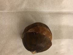 -粒上皇(天丰利市场店)