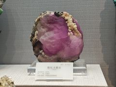 -湖南省地质博物馆