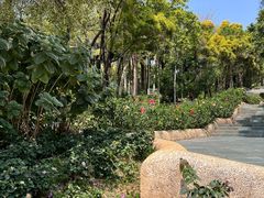 -深圳国际园林花卉博览园